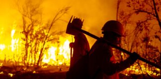 España: 12 muertos por incendio forestal en Almería