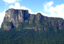 Amazonas - Tepuy Autana