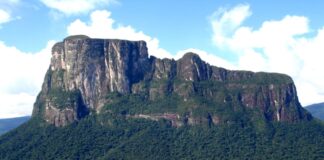 Amazonas - Tepuy Autana