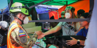 Animalistas piden apoyo para las mascotas afectadas por el doble terremoto