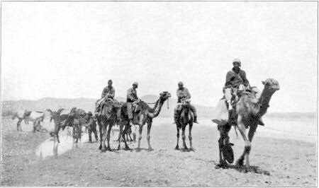 Cuerpo de Camellos de los EEUU 3