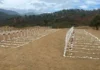 Garantizan sepulturas dignas y no fosas comunes para víctimas no identificadas de los sismos sepulturas dignas-cementerio La Esperanza-La Guaira-doblete sísmico