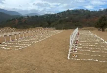 Garantizan sepulturas dignas y no fosas comunes para víctimas no identificadas de los sismos sepulturas dignas-cementerio La Esperanza-La Guaira-doblete sísmico