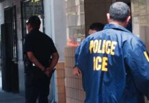 México denuncias EEUU