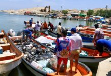 Corredor Marítimo Humanitario avanza en el envío de insumos a La Guaira