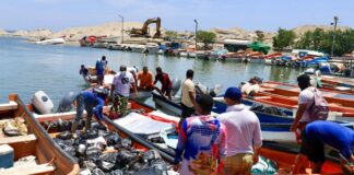 Corredor Marítimo Humanitario avanza en el envío de insumos a La Guaira