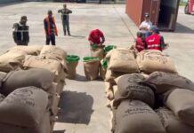 Venezuela exportó 24 toneladas de café verde hacia Turquía venezuela-exporto-cafe