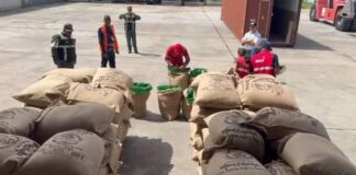 venezuela-exporto-cafe