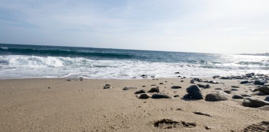 Playas de la Guaira - Escombros en la playa