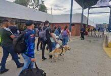 Conferry despliega puente humanitario para movilizar personal de salud y afectados Conferry despliega puente humanitario para movilizar personal de salud y afectados