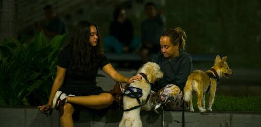 Reencuentro entre mascotas y sus dueños