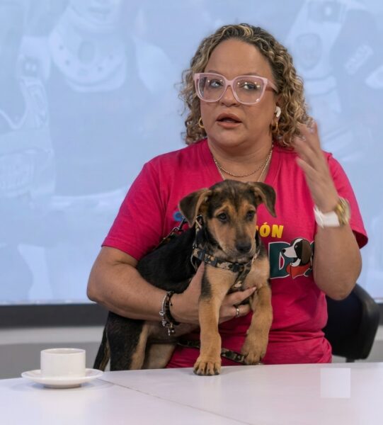 Reencuentro entre mascotas y sus dueños