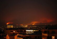 ONU alerta por devastadores incendios forestales en América y Europa Los incendios forestales