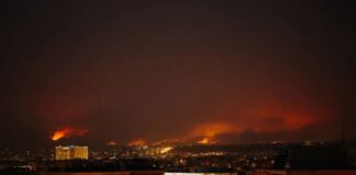 Los incendios forestales
