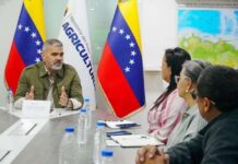 Ministro de Agricultura evalúa cooperación técnica con el IICA para el sector agroalimentario Ministro de Agricultura