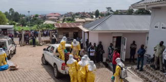 Van más de 990 fallecidos por brote de ébola en el Congo Más de 900 fallecidos por brote de ébola en RDC