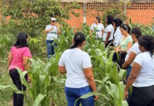 Plan Guardianes Ecológicos Socioproductivos