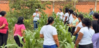 Plan Guardianes Ecológicos Socioproductivos