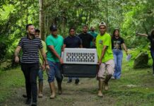 Liberan fauna en el Parque Nacional Henri Pittier