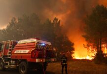 Madrid: Evacuan a 10 mil personas por los incendios forestales
