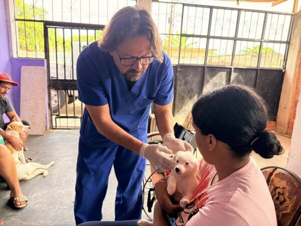 Atención Veterinaria