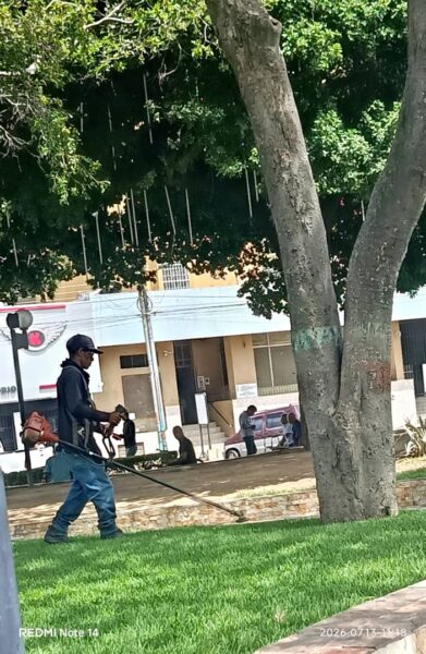 plaza Bolívar de Guacara-jardinero