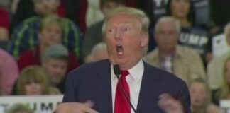 Demandan a Trump
