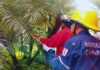 Día Nacional del Bombero: conoce las múltiples facetas de los héroes de azul Día Nacional del Bombero