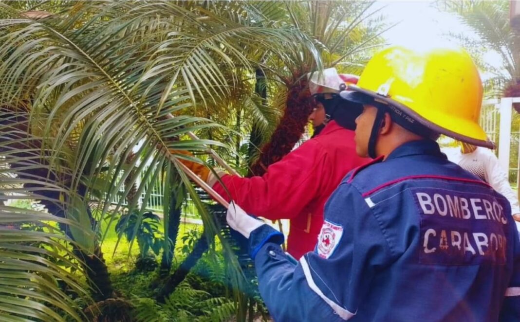 Bomberos Día Nacional del Bombero