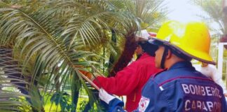 Día Nacional del Bombero