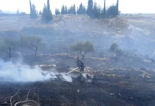 Israel despliega campaña ilegal de incendios provocados al sur del Líbano israel-incendios-provocados-libano