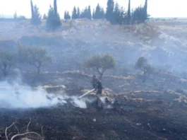 israel-incendios-provocados-libano
