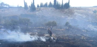 israel-incendios-provocados-libano