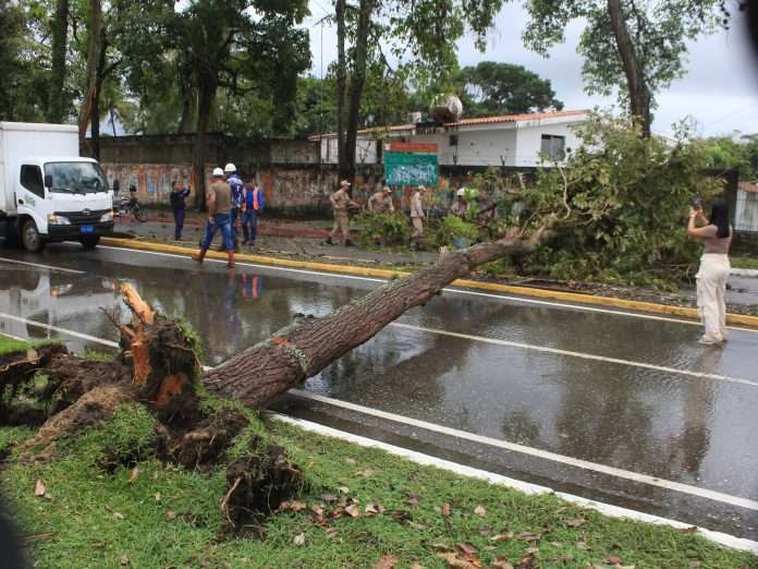 lluvias Yaracuy