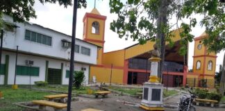 Municipio Páez: Estado Apure