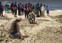 Funvisis despliega estudios geológicos en Carabobo tras actividad sísmica
