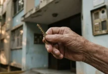 La Ley Especial de Arrendamiento