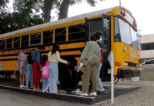 Plan vacacional para niños y niñas de Valencia en El Autobús de Nancy El Autobús de Nancy