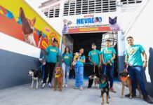 Adopción de mascotas rescatadas