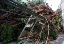 Ciclón bomba arrasa en el sur de Brasil y deja un fallecido Ciclón bomba arrasa en el sur de Brasil y deja un fallecido