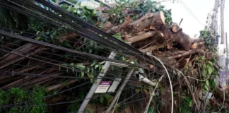 Ciclón bomba arrasa en el sur de Brasil y deja un fallecido