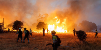 Histórico incendio forestal en Bélgica destruye 3 mil hectáreas