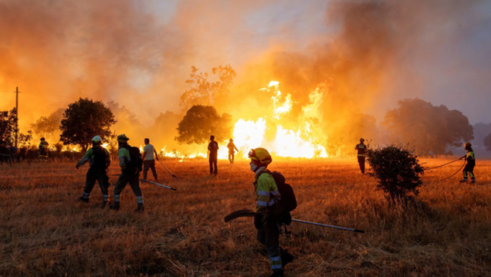 Histórico incendio forestal en Bélgica destruye 3 mil hectáreas Histórico incendio forestal en Bélgica destruye 3 mil hectáreas