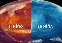 Así afectan los fenómenos atmosféricos El Niño y La Niña al mundo El Niño y La Niña
