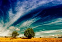 EN CLAVES: 10 puntos sobre el fenómeno meteorológico «El Niño» que debes saber Fenómeno El Niño