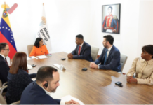Jefa de Estado (E) sostuvo reunión con representantes de la Cámara Africana de Energía Cámara Africana de Energía