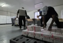 Llegan a Venezuela más de 390 mil dosis de vacunas contra la poliomielitis vacunas-contra-poliomielitis