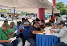 En Guacara atienden a más de 300 personas durante jornada de trámites del INTT Jornada de trámites del INTT