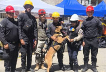 Senamecf inicia convocatoria para el curso de operadores caninos