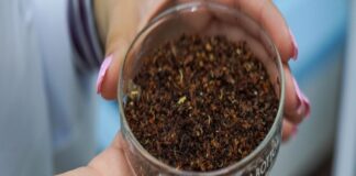 Proteína a partir de macroalgas marinas